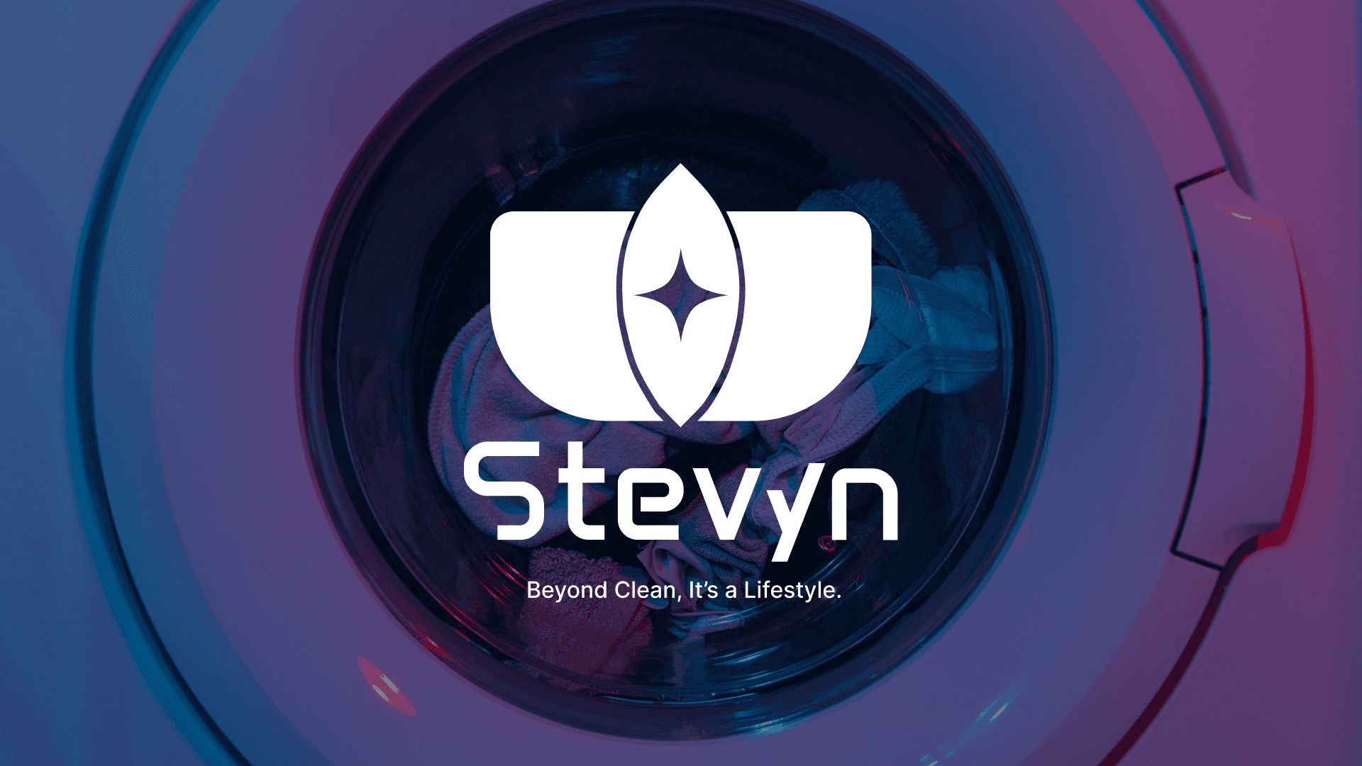 Stevyn Brand Identity preview